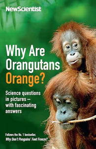Why Are Orangutans Orange? 