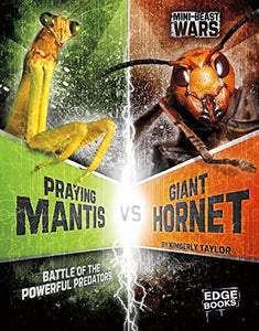 Praying Mantis vs Giant Hornet 