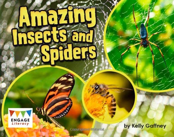 Amazing Insects and Spiders