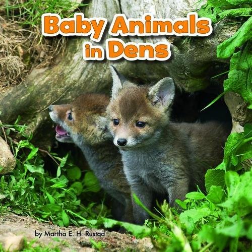 Baby Animals in Dens