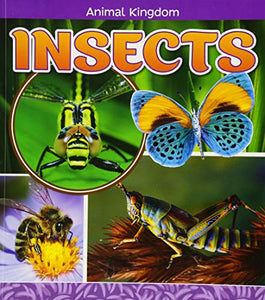 Insects 