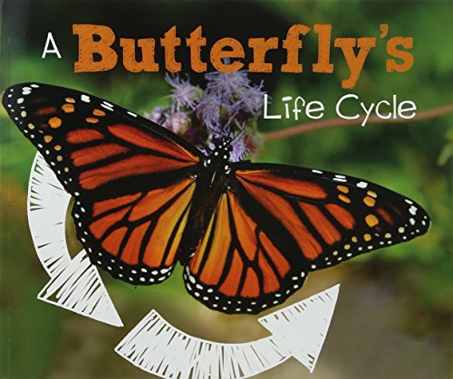 A Butterfly's Life Cycle