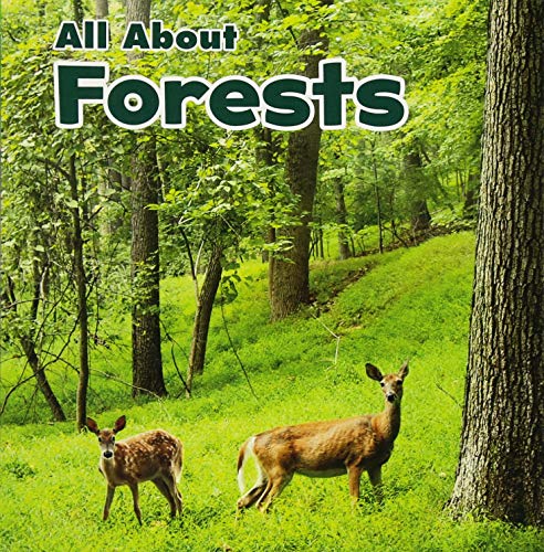 All About Forests