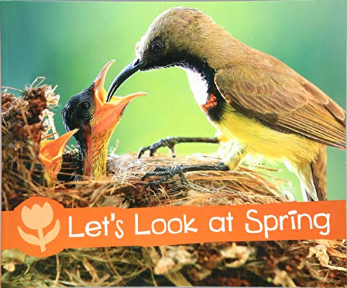 Let's Look at Spring