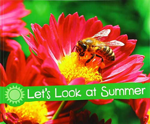 Let's Look at Summer