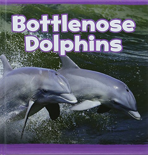 Bottlenose Dolphins