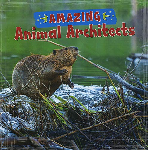 Amazing Animal Architects