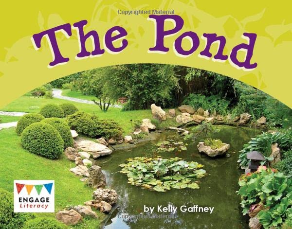 The Pond