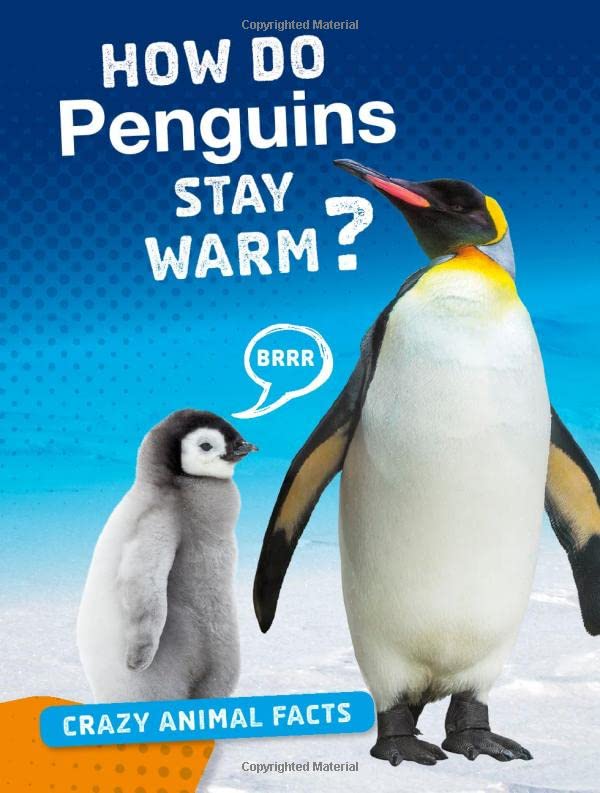 How Do Penguins Stay Warm?