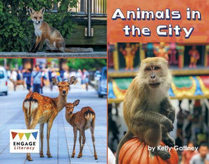 Animals in the City 