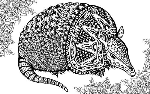Coloring for Creativity