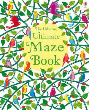 Ultimate Maze Book