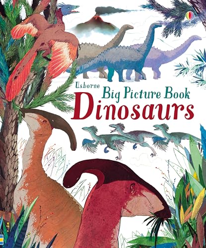 Big Picture Book Dinosaurs