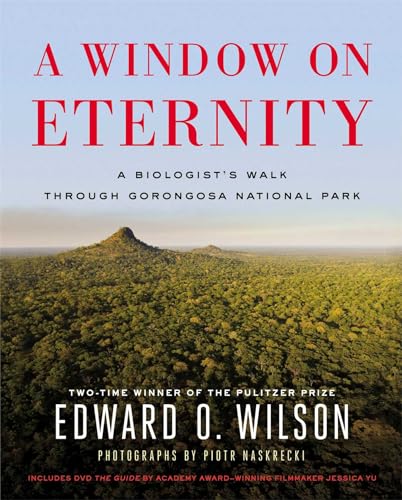 A Window on Eternity