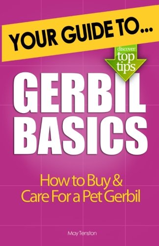 Gerbil Basics: How to Buy and Care for a Pet Gerbil