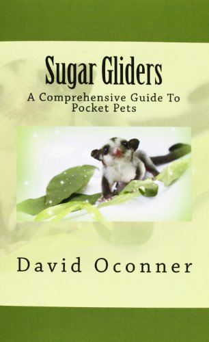 Sugar Gliders