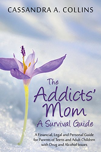 The Addicts' Mom