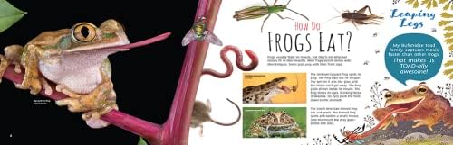 Ribbit! the Truth about Frogs