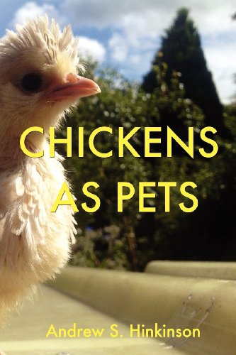 Chickens as Pets