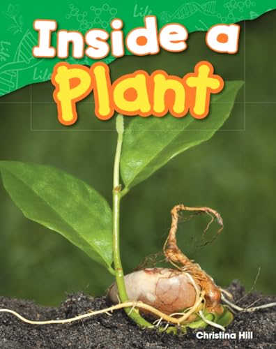 Inside a Plant