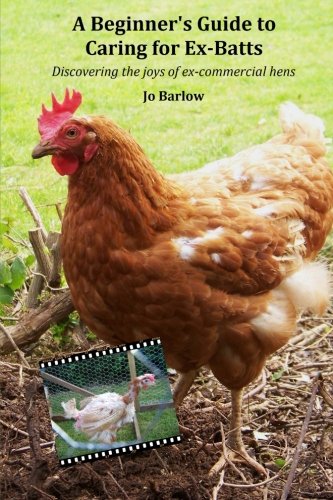 A Beginners Guide to Caring for Ex-Batts: Discovering the Joy of Ex-Commercial Hens