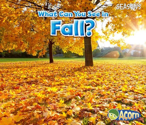 Seasons What Can You See in Fall?