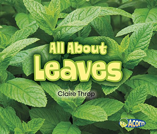 All about Leaves
