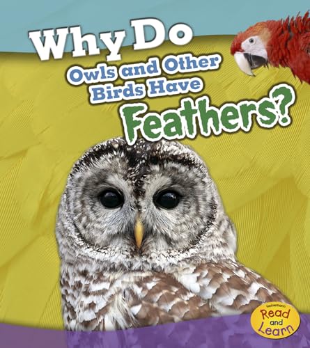 Animal Body Coverings Why Do Owls and Other Birds Have Feathers?