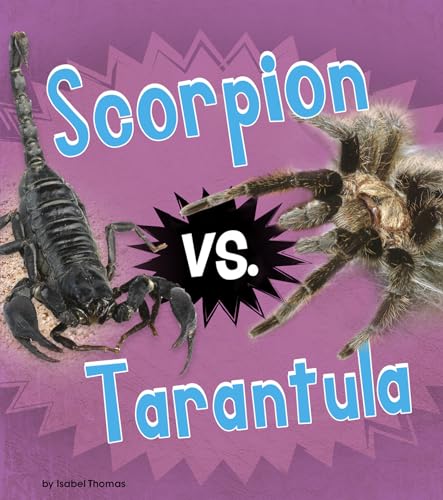 Animal Rivals Scorpion vs Tarantula