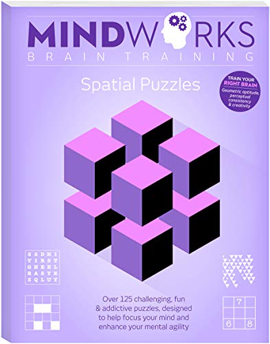 Mindworks Brain Training Series 1: Spatial Puzzles