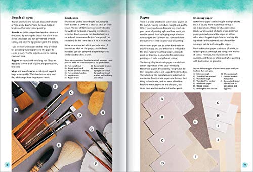 Art Maker Watercolour Paints