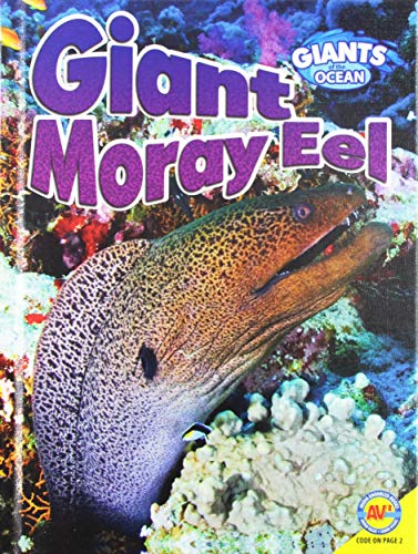 Giant Moray Eel
