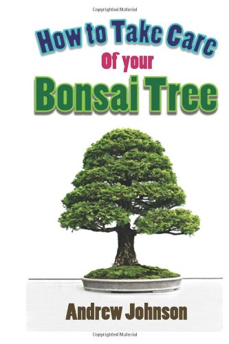 How to Take Care of Your Bonsai: Bonsai Care for Beginners