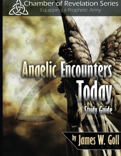 Angelic Encounters Today Study Guide