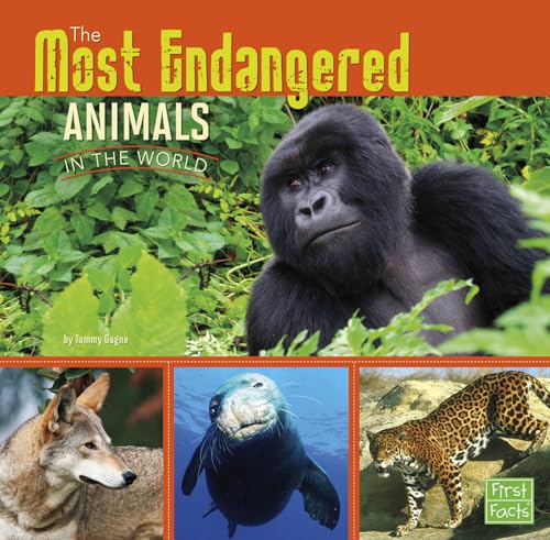 All About Animals Most Endangered Animals in the World