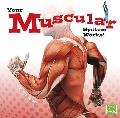 Your Body Systems Your Muscular System Works