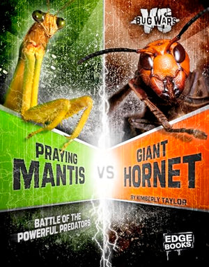 Praying Mantis VS Giant Hornet