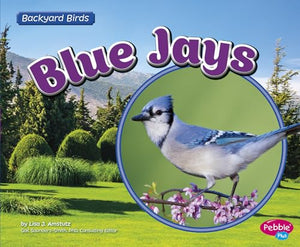 Blue Jays 
