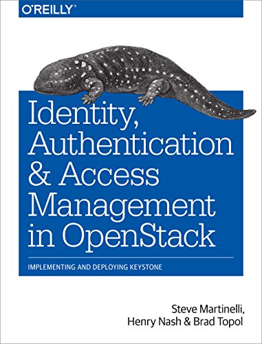 Identity, Authentication and Access Management in OpenStack