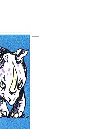Why the Rhinoceros got his Skin
