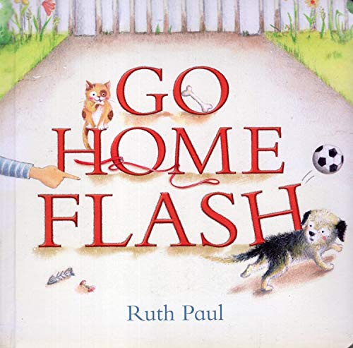 Go Home Flash