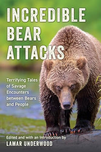 Incredible Bear Attacks 