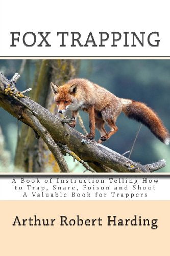 Fox Trapping