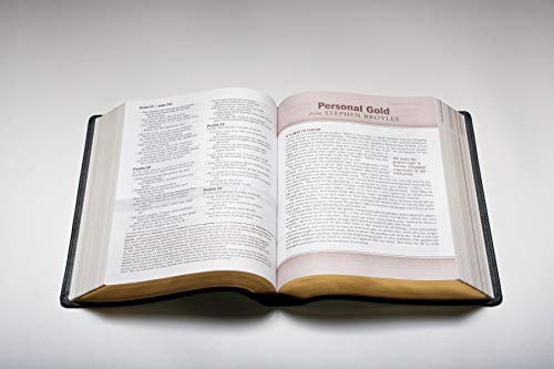 Every Man's Bible-NLT-Large Print
