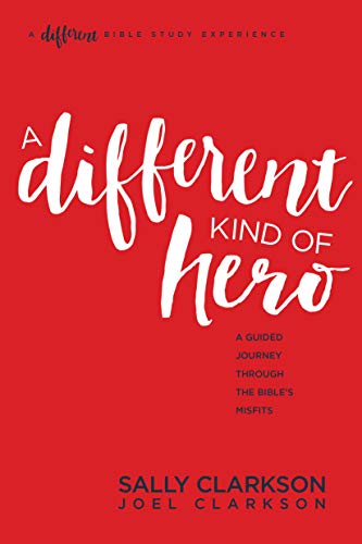 Different Kind Of Hero, A
