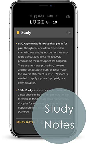 KJV Large Print Thinline Reference Bible, Filament Edition