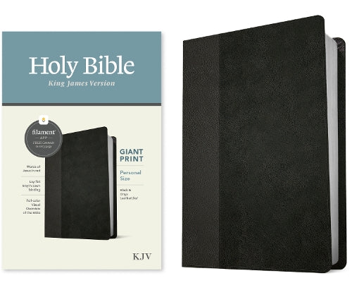 KJV Personal Size Giant Print Bible, Filament Edition, Black