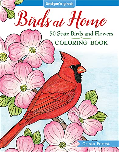 Birds at Home Coloring Book