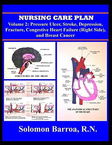 Nursing Care Plan