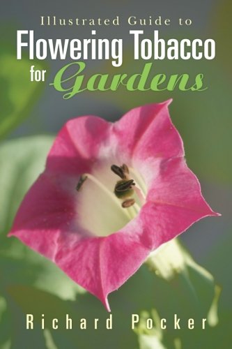 Illustrated Guide to Flowering Tobacco for Gardens